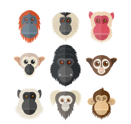 9 creative monkey and orangutan avatar vector material