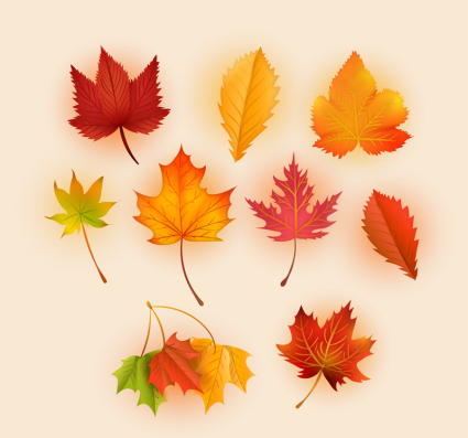 9 exquisite autumn leaves vector material