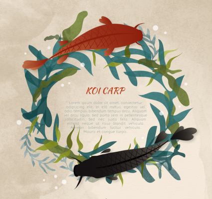 Creative Koi and Aquatic Rings