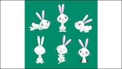 6 white bunny design vector material