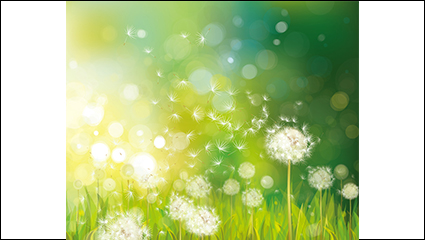 Dandelion flowers vector fantasy material