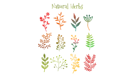 12 watercolor tree branch vector material