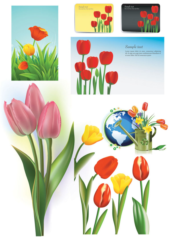 Tulips vector of material
