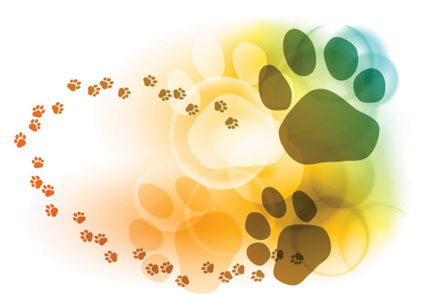 Colorful bubble footprints background - vector