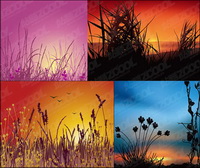 Vector sunset scenery