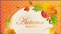Beautiful autumn leaves frame background 05-- vector material