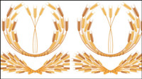 Yellow wheat 05-- vector material
