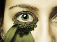 Appreciation of Russia