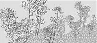 Vector line drawing of flowers-39(Chrysanthemum, background)