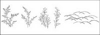 Line drawing of flowers -3