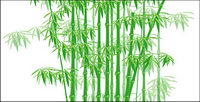 The green bamboo vector material