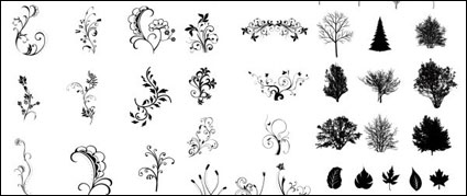 Black and white leaves Vector