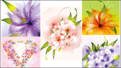 Beautiful flowers - vector