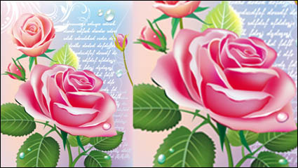 Beautiful roses 03 - vector 