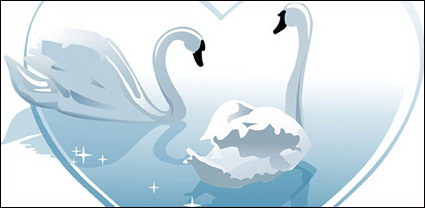 White Swan Vector