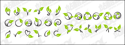 Vector rattan plant material